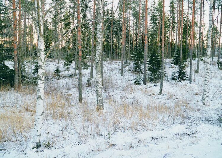 Jos viranomaisten valitusoikeus kaavoista vähenisi tai loppuisi kokonaan, siirtyisi kaavoituksen valvonta yhä enemmän asukkaiden ja vapaaehtoisten järjestöjen vastuulle.