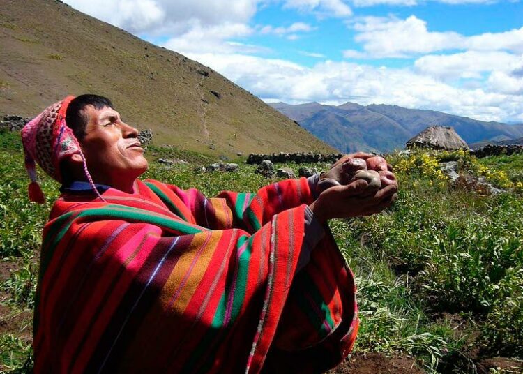 Ruoka on ihmiskunnan kohtalonkysymys. Perulainen perunanviljelijä Camilo Huaraca suorittaa perinteisen seremonian hyvän sadon turvaamiseksi.