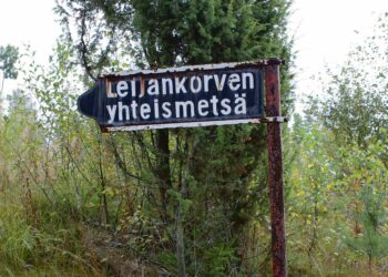 Kirjoittajan mukaan yhteismetsästä ei synny hiilijalanjälkeä. Leijankorven yhteismetsä löytyy Varsinais-Suomesta.