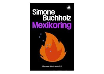 Mexikoring on neljäs osa Simone Buchholzin syyttäjä Chastity Rileystä kertovissa dekkareissa.