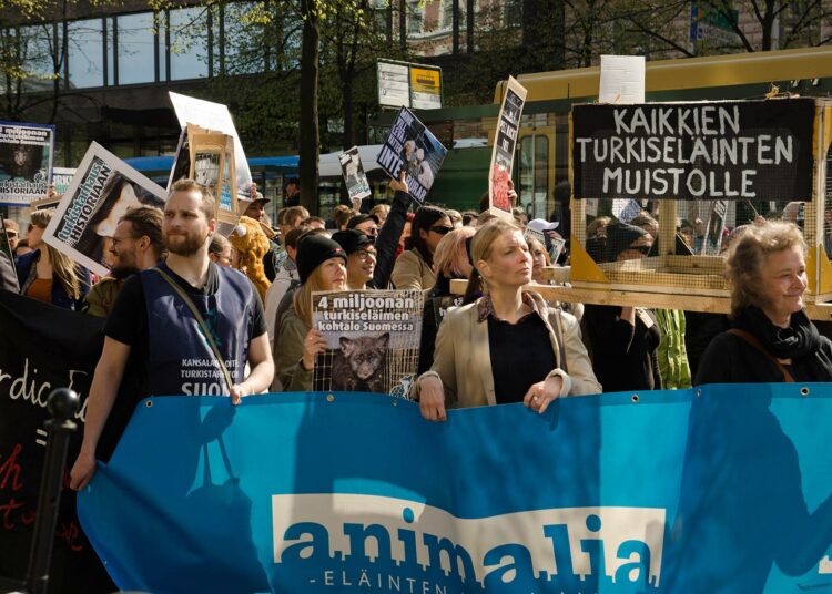 Eläinoikeusjärjestö Animalia kampanjoi turkistarhattoman Suomen puolesta. Kuva on mielenosoituksesta vuodelta 2015.