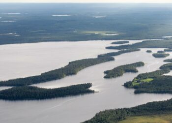 Metsähallitus suunnittelee laajoja hakkuita virkistyssaariin Suomussalmen Pesiöjärvellä.
