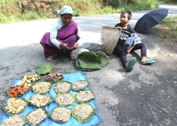 Phlida Kharshala ja hänen kahdeksanvuotias lapsenlapsensa myyvät metsästä keräämiään sieniä Shillongissa, Meghalayan osavaltiossa.