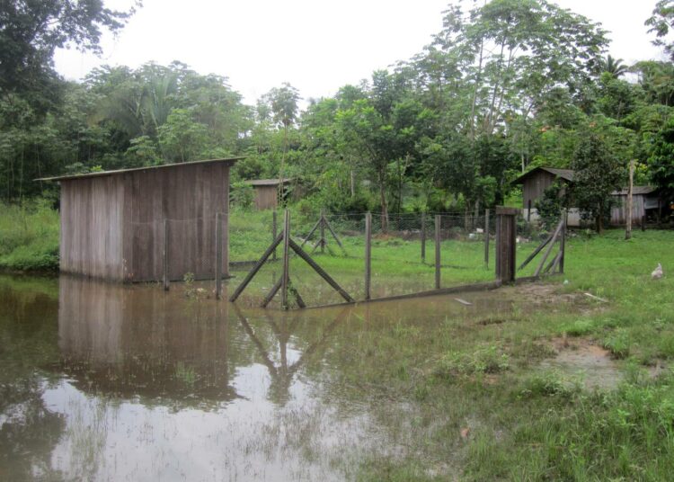 Kun Belo Monten vesivoimala raotti tulvaporttejaan ja päästi ulos ylimääräiset vedet, Miratun kylän joenrannalla sijainneet rakennukset joutuivat veden valtaan. Bel Juruna harmittelee, että joen virtausta säätelevät tulvaportit eivätkä joen luonnolliset syklit.