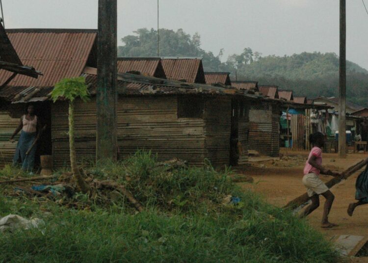 Liberia on viimeisiä Länsi-Afrikan maita, joissa yhä kasvaa mahtavia metsiä. Liberiassa yhteisöt omistavat noin 70 prosenttia maasta, ja kolmannes väestöstä asustaa metsäalueilla. Kun valtio ja Arabiemiraattien konsulttiyritys Blue Carbon sopivat metsien käytöstä, asukkaita ei kuunneltu.