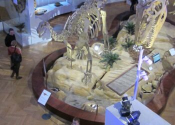 Luonnontieteellinen museo Helsingissä.
