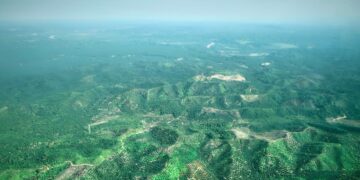 Nesteen alihankkijat ovat tuhonneet Pariisin kokoisen alueen sademetsää. Palmuöljyviljelmä Indonesiassa.