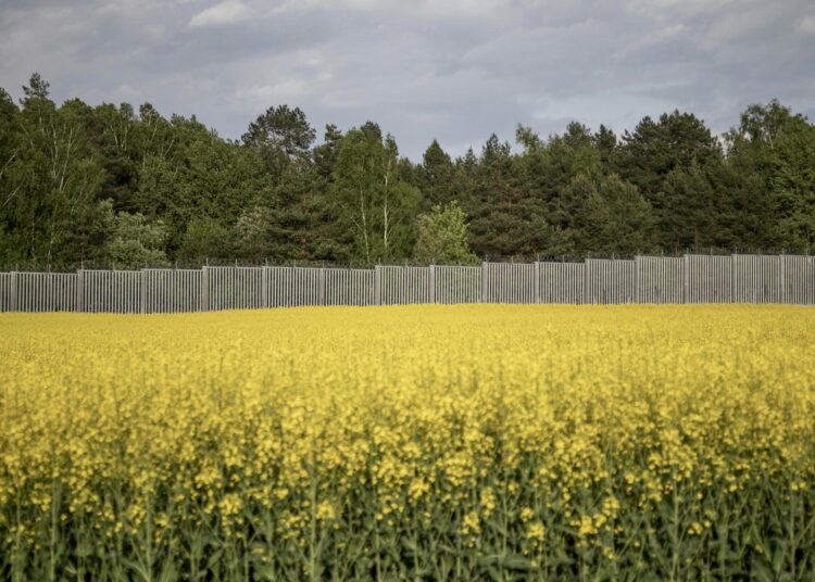 Teräksinen raja-aita Podlasiessa. Kiistanalainen rakennelma on häirinnyt tämän Euroopan kolkan ihmisiä ja luontoa yhtä lailla.
