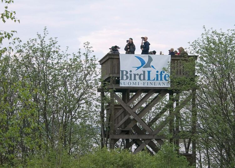 Tornien taistossa on mukana yli 300 lintutornia etelärannikolta Lappiin.