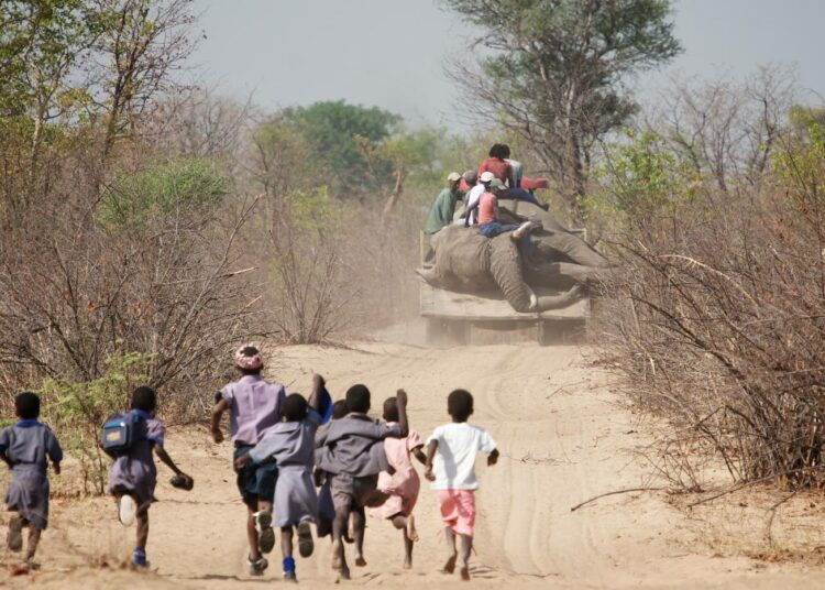 Tämän vuoden syyskuussa Zimbabwessa lääkitystä sai jo 280 000 naista ja 234 000 hiville altistunutta lasta.