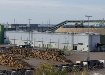 Korkeat hakkuumäärät pienentävät järjestöjen ja tutkijoiden mukaan hiilinielua.