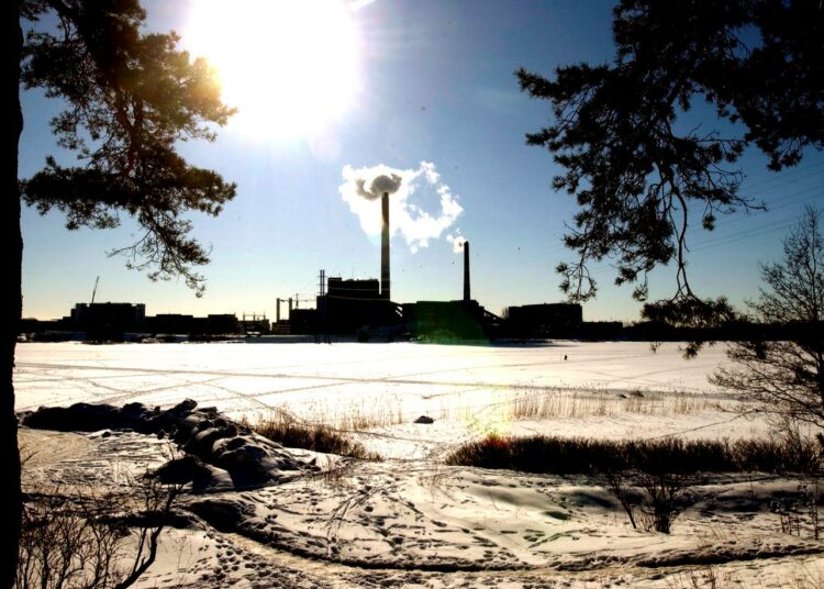 Salmisaaren kivihiilivoimalaan halutaan rinnakkaispolttoaineeksi mm. pelletit ja muu biomassa.