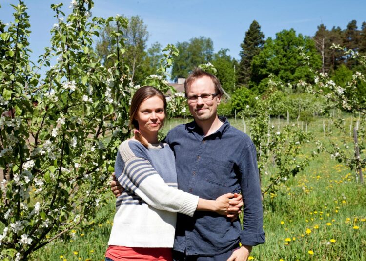 Luomutilaa hoitavat Tuomas ja Iiris Mattila muokkaavat maata korkeuskäyrien mukaan ja istuttavat eroosioherkimmille rinnepelloille hedelmäpuita. Puut sitovat samalla myös hiiltä.