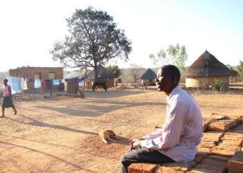 Kuiva kylänraitti Zimbabwen Mashonalandin maakunnassa. Tupakanviljely, muu maanviljely ja metsäpalot yhteistyössä ovat tuhonneet laajoja maa-alueita ja muuttaneet niitä pienoiserämaiksi.