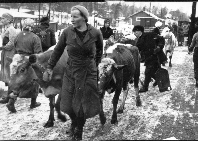 Heli Kanasen tutkimuksen mukaan siirtolaisväen sopeutuminen ei sujunut läheskään niin mutkattomasti kuin tähän asti on kansallisessa historiankuvassa uskoteltu.