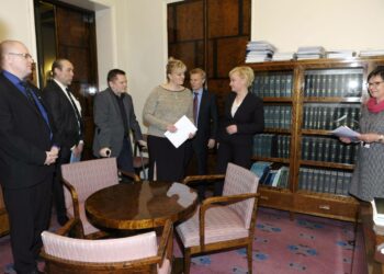 Opposition Jari Lindström, James Hirvisaari, Markus Mustajärvi, Hanna Mäntylä, Kimmo Tiilikainen ja Elsi Katainen jättivät välikysymyksen vanhemmalle eduskuntasihteeri Maija-Leena Paavolalle.
