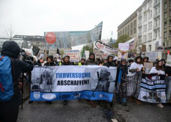 Eläinkokeiden vastainen mielenosoitus Hampurissa viime marraskuussa.