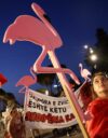 Mielenosoitukset Tiranassa ovat jatkuneet jo kuukausia. Protestien symboli on vaaleanpunainen flamingo.