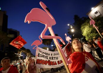 Mielenosoitukset Tiranassa ovat jatkuneet jo kuukausia. Protestien symboli on vaaleanpunainen flamingo.