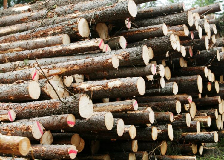 SAK:lainen Puu- ja erityisalojen irtisanoi kesäkuun lopussa mekaanisen metsäteollisuuden sopimuksen päättymään elokuun lopussa.
