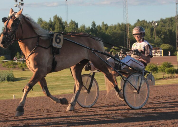 Vislakka on kuningatarkisan ennakkosuosikki.