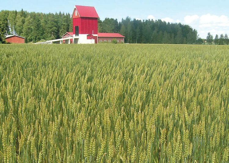 Kirjoittajan mukaan kansakunta, joka hukkaa maanviljelyn jalon taidon, on tuhoon tuomittu.