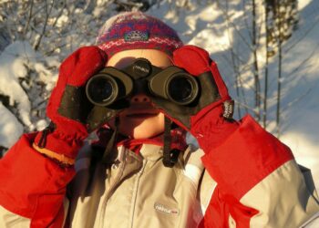 Pihabongauksessa tarkkaillaan ensi lauantaina tai sunnuntaina tunnin ajan lintuja omalla pihalla tai muulla paikalla.