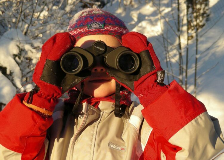 Pihabongauksessa tarkkaillaan ensi lauantaina tai sunnuntaina tunnin ajan lintuja omalla pihalla tai muulla paikalla.