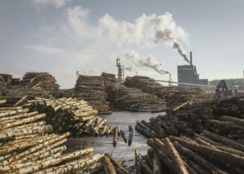 Metsä Groupin biotehdasprojekti Äänekoskella on harvinainen poikkeus suurteollisuuden investointina. STTK:n ja Pron kyselyn mukaan alle puolet yritysjohtajista uskoo kilpailukykyloikan lisäävän investointeja.