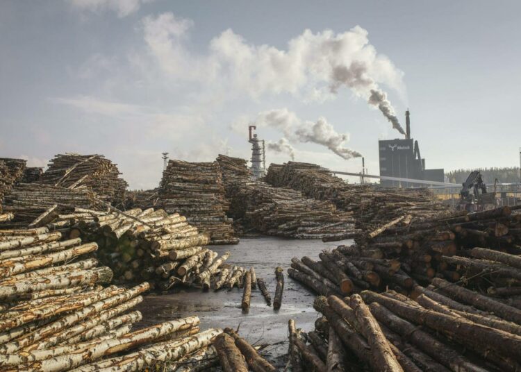 Metsä Groupin biotehdasprojekti Äänekoskella on harvinainen poikkeus suurteollisuuden investointina. STTK:n ja Pron kyselyn mukaan alle puolet yritysjohtajista uskoo kilpailukykyloikan lisäävän investointeja.