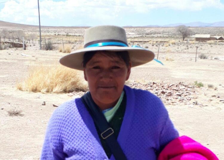 Viviana Gerónimo on väriläiskänä Hornaditas de la Cordilleran kylän yksitoikkoisessa maisemassa. Kylän viisitoista perhettä kuuluvat seudun alkuperäisiin asukkaisiin, kolla-kansaan. Vuorilta putkistossa virtaavasta vedestä hyötyvät ihmisten lisäksi laamat ja lampaat sekä vaatimattomat viljelykset.