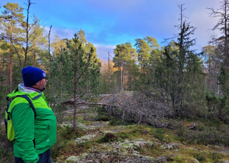 Kun Paavo Arhinmäki kävi ensimmäisen kerran Stansvikin metsässä, alkoi hän heti vastustaa metsän paikalle rakentamista. Tämän alueen rakentamisen mahdollistava kaava onkin nyt uudelleenarvioitavana