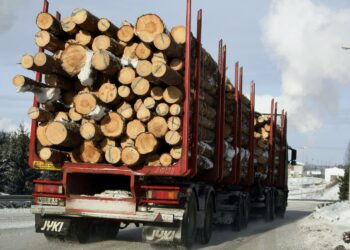 Viennin kasvu tuli etenkin metsäteollisuudesta.