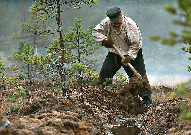 Täällä pohjantähden alla on klassikkoromaanin pohjalta tehty 8-osainen sarja. Kuvassa Jussi Koskela (Risto Tuorila).