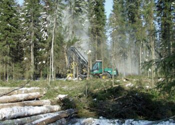 Metsistä saatavan energiapuun talteenotto on moniulotteisen biotalousstrategian mukaista.