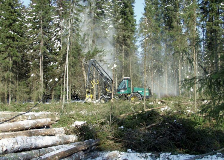Metsistä saatavan energiapuun talteenotto on moniulotteisen biotalousstrategian mukaista.