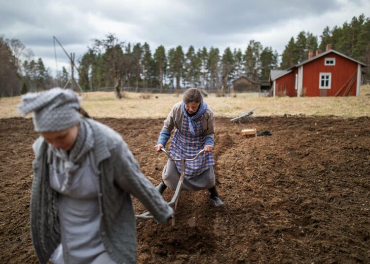 Vanhempi emäntä Outileena Uotila ja nuorempi emäntä Mirjam Koskinen esittävät, miten perunaa kylvetään perunasahran avulla. Varsinainen kylvö tapahtuu vasta parin viikon päästä.