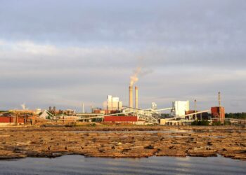 Metsäjätti UPM potkii nyt pois melkein 900 työntekijää. Kaukaan vaneritehdas on sulkemisuhan alla.