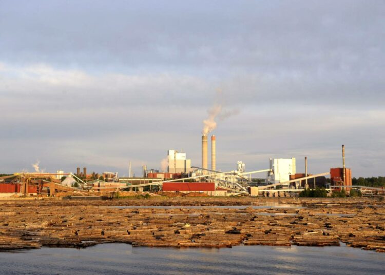 Metsäjätti UPM potkii nyt pois melkein 900 työntekijää. Kaukaan vaneritehdas on sulkemisuhan alla.