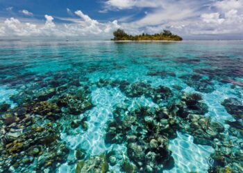Yksi Belizen rantariuttojen suojelualueen seitsemästä suojellusta alueesta on South Water Caye Marine Reserve.