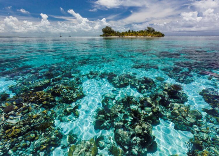 Yksi Belizen rantariuttojen suojelualueen seitsemästä suojellusta alueesta on South Water Caye Marine Reserve.