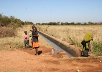 Zimbabwelaisia lapsia vedenhaussa keinokastelukanavalla Matabelemaan Magwessa.