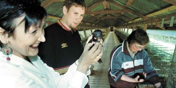 Turkistuottajien liiton viestintäpäällikkö Päivi Mononen-Mikkilä kädessään minkin poikanen, Paavo Arhinmäki ja turkistarhaaja Leena Pitkänen.