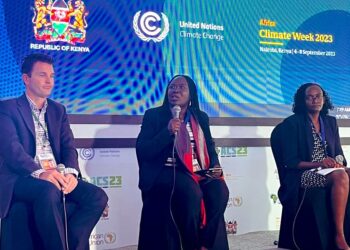 Practical Action African johtaja Akinyi Walender puhumassa jätteiden avotulella polttamista koskevassa sessiossa Afrikan ilmastokokouksessa.