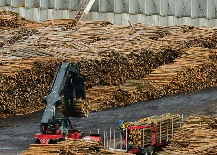 Metsäteollisuuden avainkysymys on, miten puusta pystytään tekemään muutakin kuin sellua, paperia, polttoainetta ja sahatavaraa.