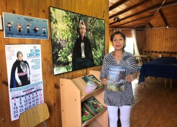 Trepein-yhteisö, jota johtaa Nelly Hueichan, tuo yhteen 35 mapuchea, enimmäkseen naisia, joilla on samankaltainen työssä ja sosiaalisessa elämässä syrjityksi joutumisen tausta.