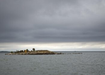 Rannikon vesialueista erityisesti Saaristomeren ja Suomenlahden tila on huolestuttava.
