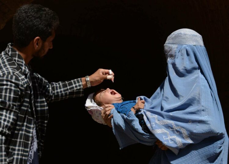Afgaanilapsi saamassa poliorokotetta elokuun lopulla.