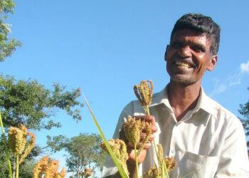 Intian eteläisessä Karnatakan osavaltiossa elävä maanviljelijä Puttaraju esittelee ylpeänä hirssipeltoaan, joka takaa hänelle vakaan sadon vuosi toisensa perään.