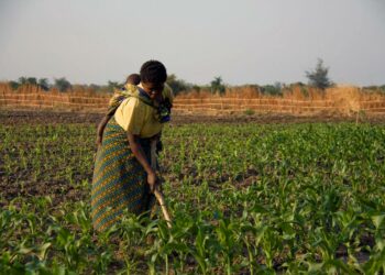 Valtaosa Afrikan maanviljelijöistä on naisia, mutta harva heistä omistaa maata.